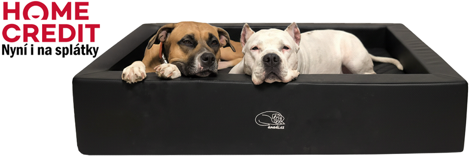 Psi cely pelech web na splatky pgn